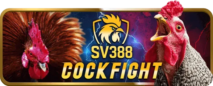 Cá Cược Bóng Đá vip69 app